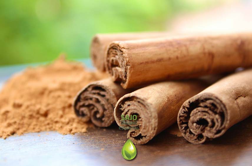 Cinnamon Oil