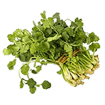 Coriander Oil