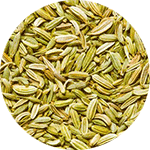 Fennel Seeds Oil